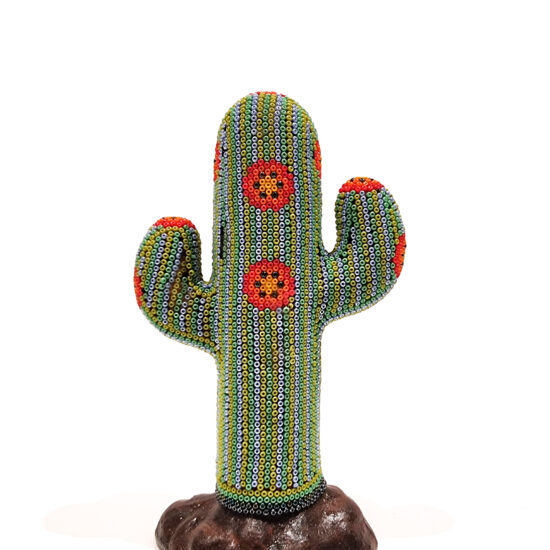 Arte Huichol / Cactus VG